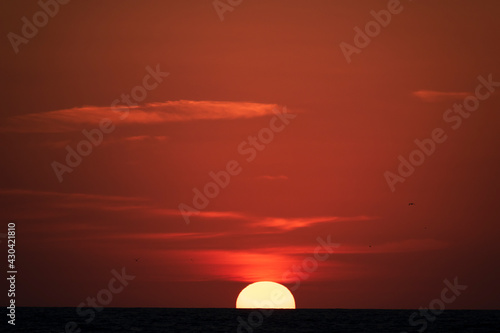 Fototapeta Naklejka Na Ścianę i Meble -  red sunset over the sea