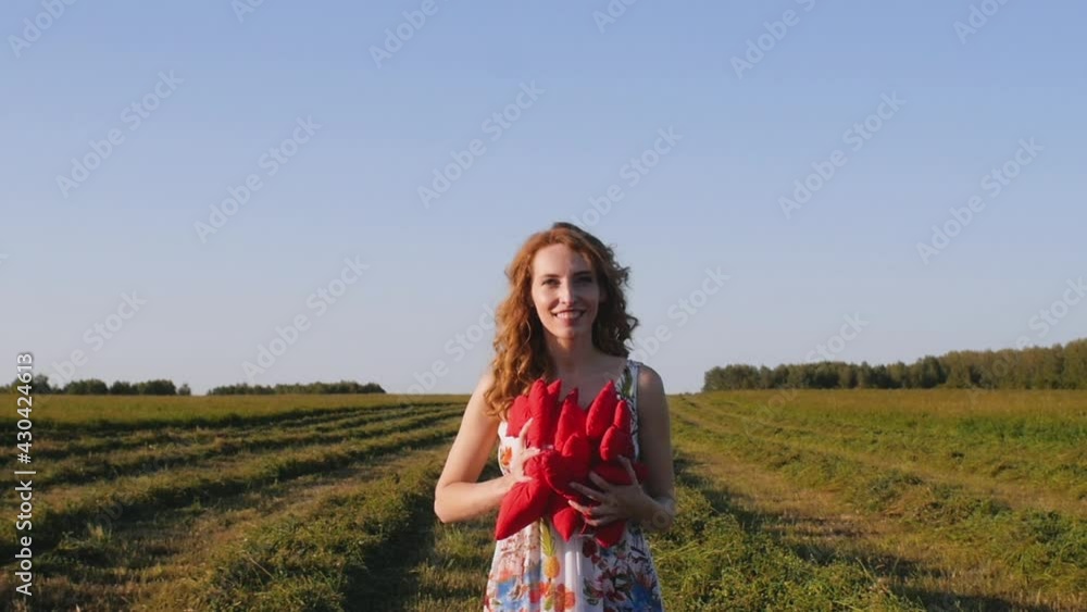 redhead young woman in white dress throws soft hearts on the background of the field. redhead young woman in white dress throws soft hearts on the background of the field.