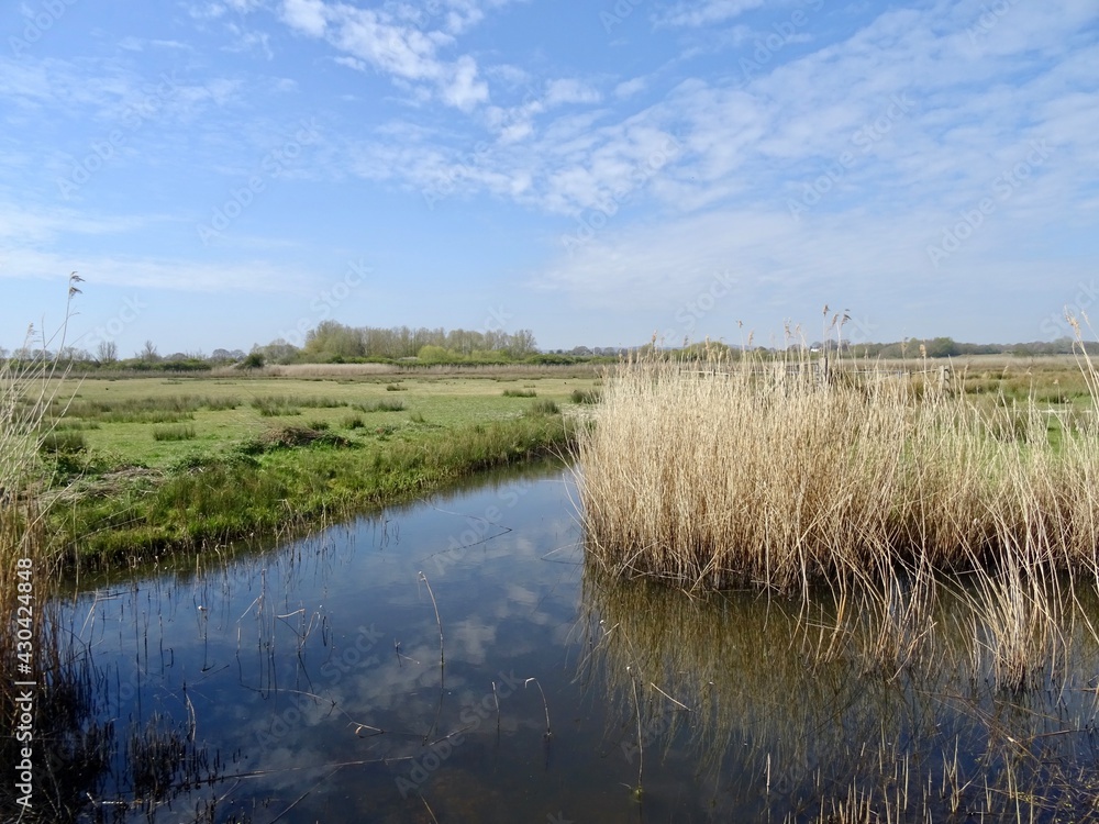 Lanscape with cloud  reflections in river