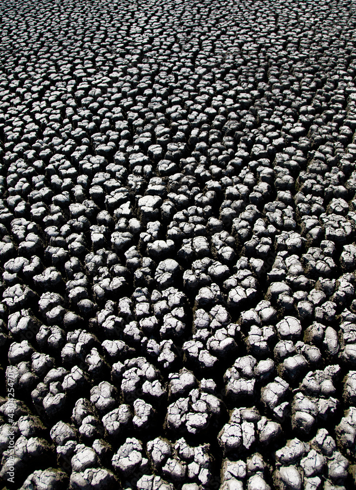 Naklejka premium Dry Earth Soil Ground Grunge Texture. Close up of crack soil Top View.