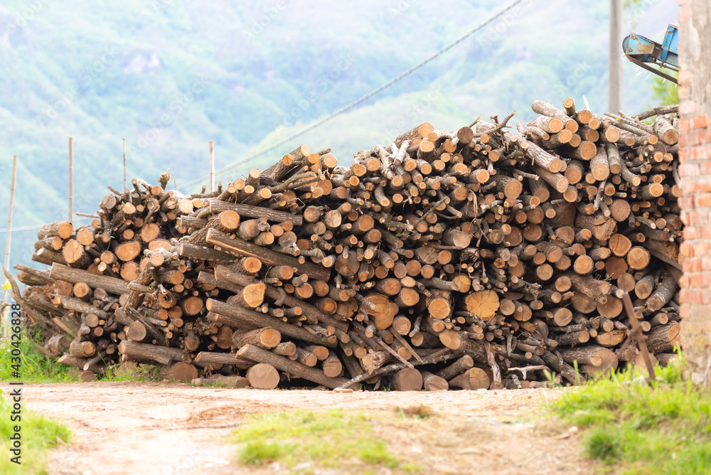 The logs are stacked. Prepared remains of trees for cutting into firewood. The logs are stacked. Prepared remains of trees for cutting into firewood.