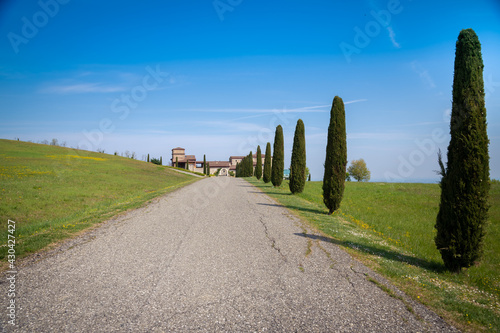 Beautiful view of a country house with meadows and driveway with cypresses, blue sky in background. Spring in the countryside with nature all around. Outdoors, relax and cultural vacation concept.