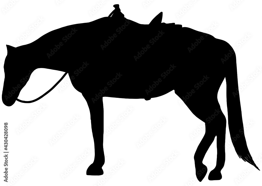 Obraz premium Western ranch horse relaxing silhouette in black on white background 