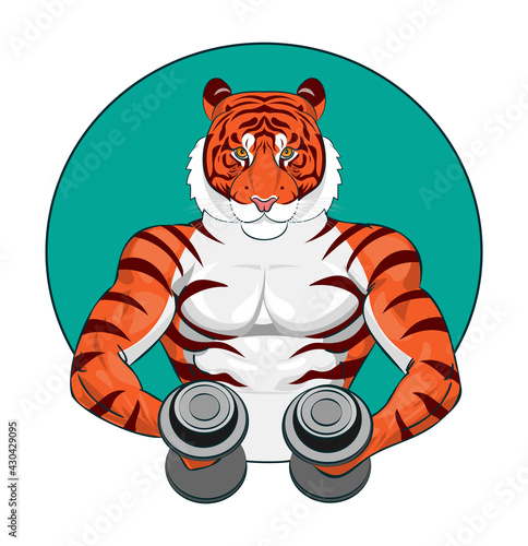 Strong muscular tiger holding two dumbbells in his hands and doing workout vector illustration. Fitness logo  illustration. Bodybuilding.