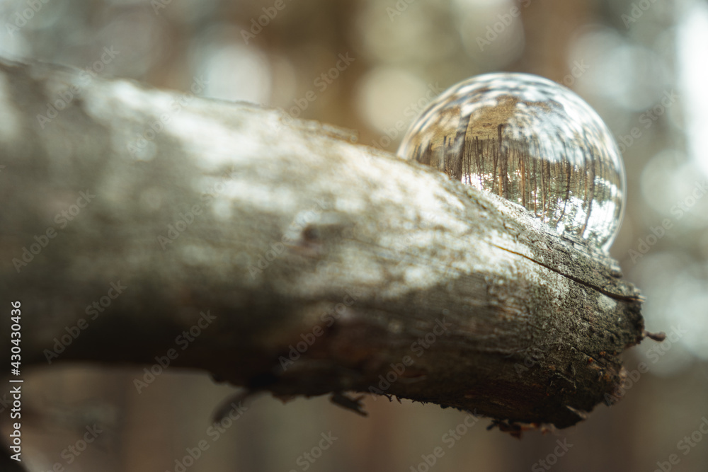 Environment concept, a crystal ball lies on a moss in the forest, reflection of the forest. concept and theme of nature, environmental protection. relaxation. glass material.
