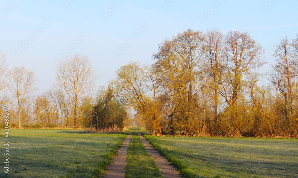 Fototapeta premium Landschaft Frühling