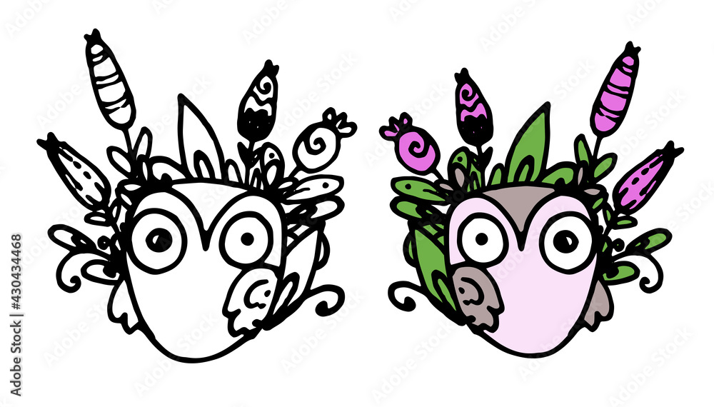vector owls with floral pattern. Isolated outline drawing of black owls with flowers for coloring and color image funny owlet with different size eyes with purple needles and green on the background f