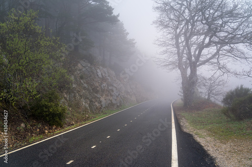straight mountain road on a heavy foggy day with very low visibility. Morcuera, Madrid. photo