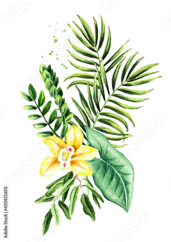 Colorful leaves of exotic tropical or jungle plants. Watercolor hand drawn illustration, isolated on white background © dariaustiugova