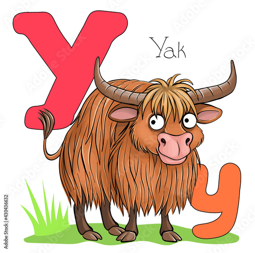 Vector illustration. Alphabet with animals. Large capital letter Y with a picture of a bright, cute yak.