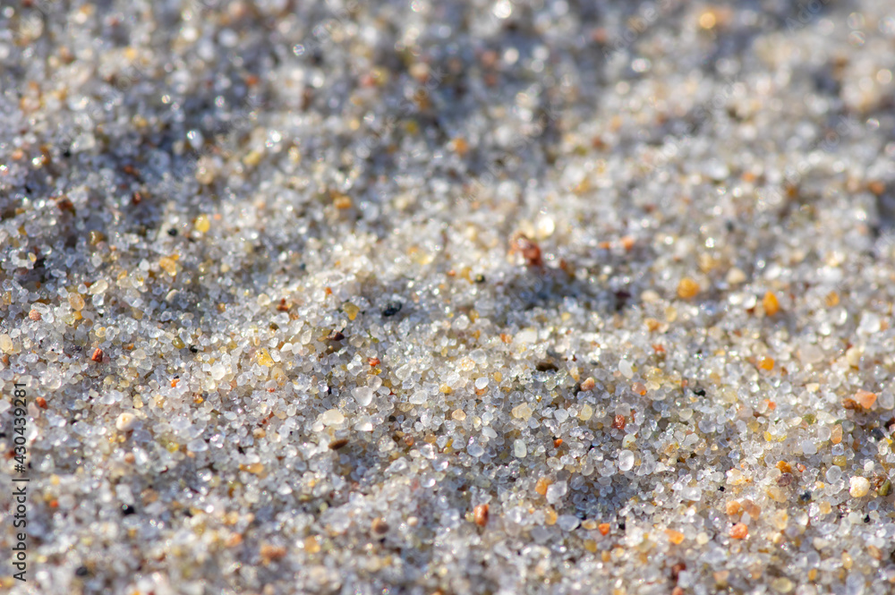 Natural background from a pebbly sandy beach in Lithuania Natural background from a pebbly sandy beach in Lithuania