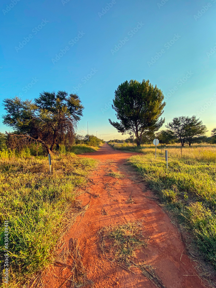 Fototapeta premium Dirt road with two trees besides it.