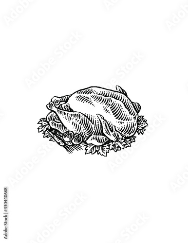 Cooked turkey illustration