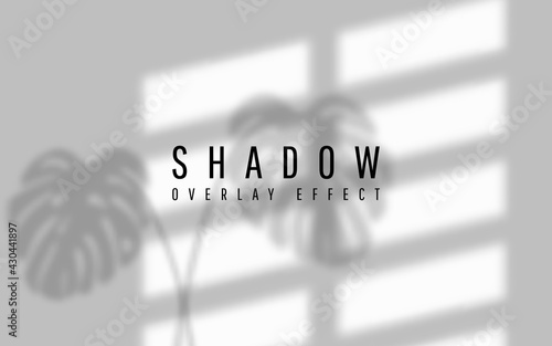 Shadow overlay effect. Transparent shadow of window. Vector illustration