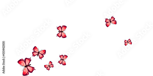 Exotic red butterflies flying vector illustration. Summer funny moths. Detailed butterflies flying fantasy background. Sensitive wings insects graphic design. Fragile creatures.