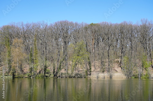 Sonnige Wasserlandschaft an einem Wald bei Frühlingsanfang, Schlachtensee in Berlin bei Sonnenschein