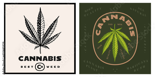 Cannabis modern logo badge template vector trendy