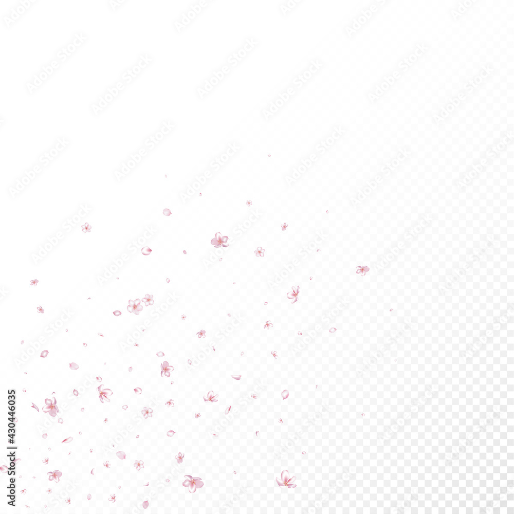 Sakura Cherry Blossom Confetti. Blooming Cosmetics Ad Elegant Floral