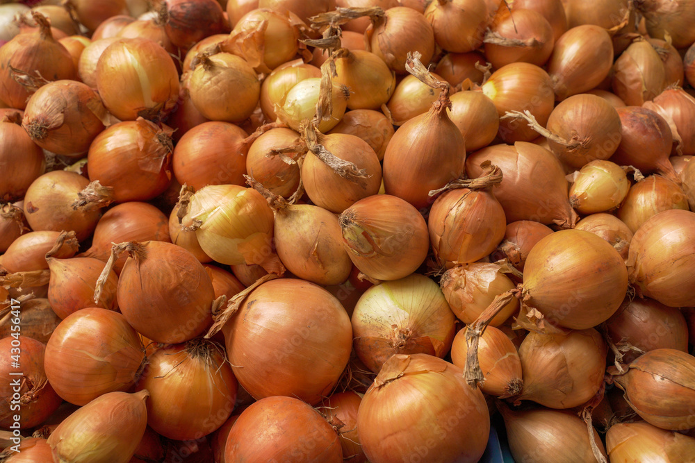 Obraz premium background of yellow onions. harvest, texture.