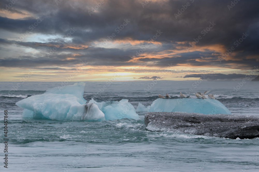 Icebergs of the Jökulsárlón glacier with resting seabirds. Sunset sky. Iceland