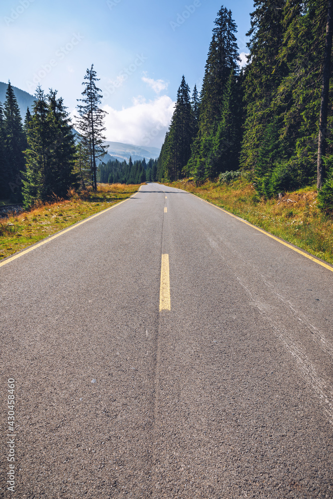 Naklejka premium Empty asphalt road with cloudy sky and sunlight in mountains and forest. Transalpina landscape, Romania.