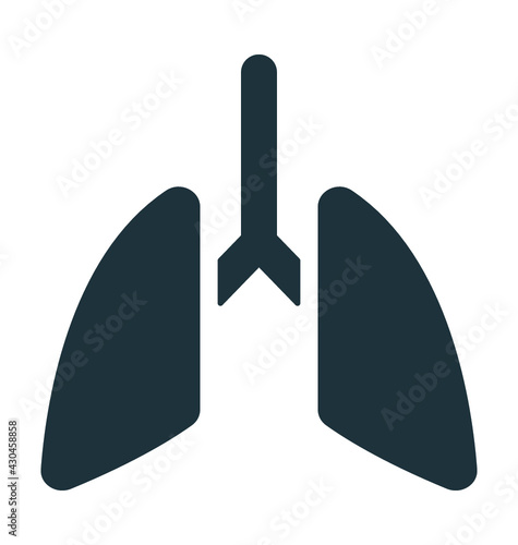 Human Lungs Vector Icon