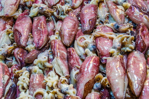 Squids on Sale, Dimotiki Agora Market, Athens photo