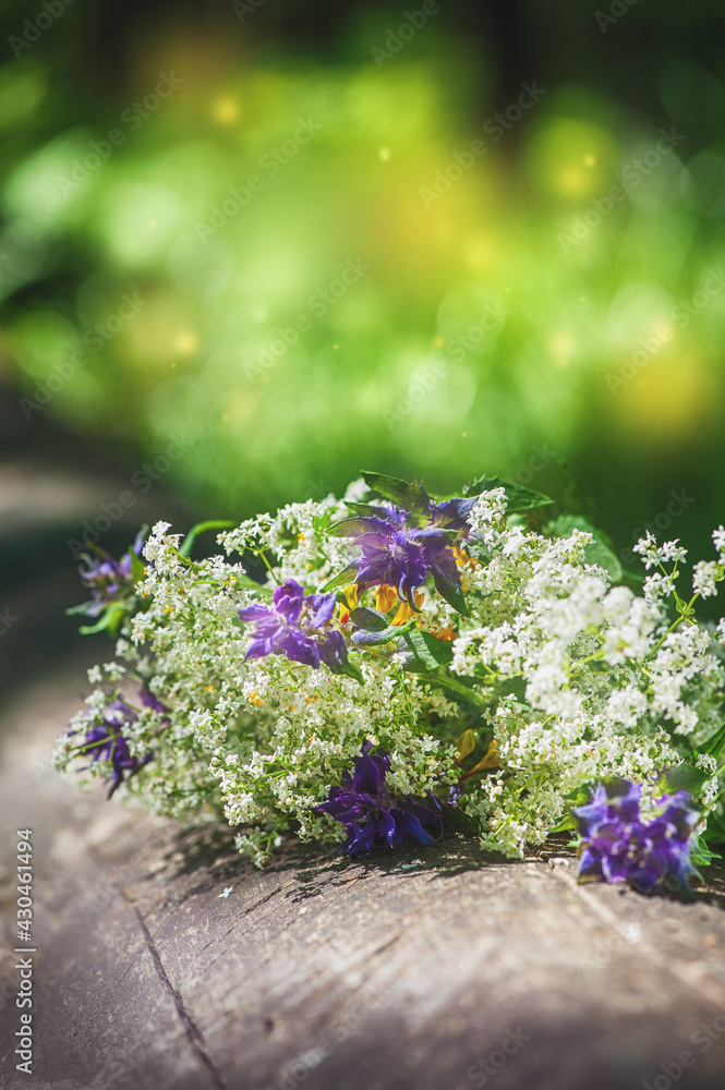 Beautiful summer flowers on blurred natural background.