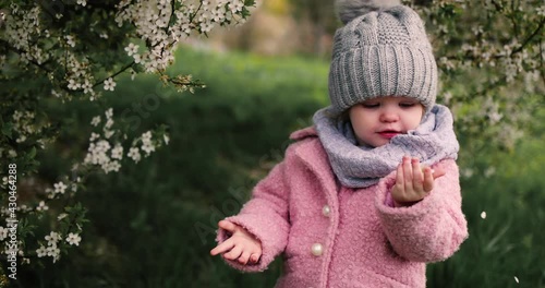 cute toddler baby girl cropping the flowers from blooming tree in spring garden photo