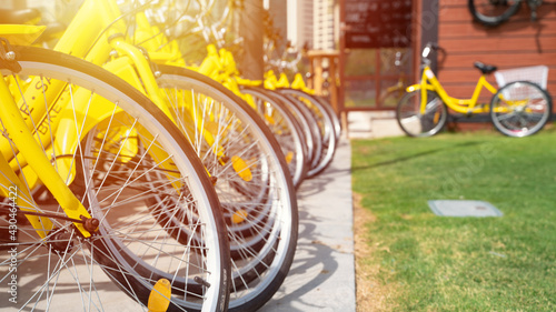 Bicycles parked in row at a rent a bike shop in a park