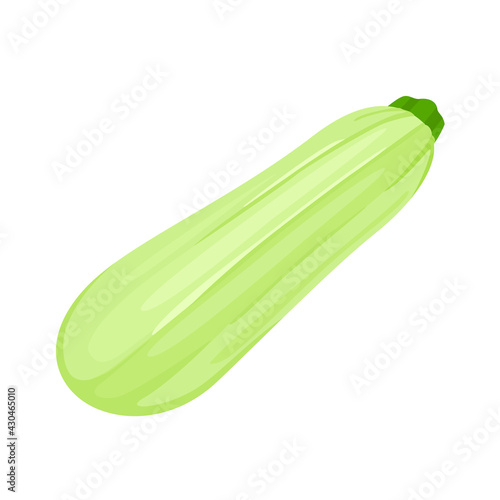 Zucchini or vegetable marrow flat icon. Vector cartoon illustration.