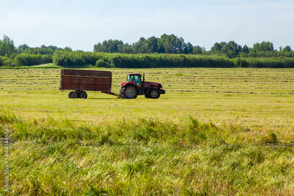 Fototapeta premium Tractor in the field for agricultural work. 