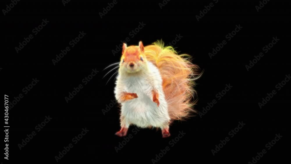 Video „White squirrel Dance CG fur. 3d rendering, animal realistic CGI