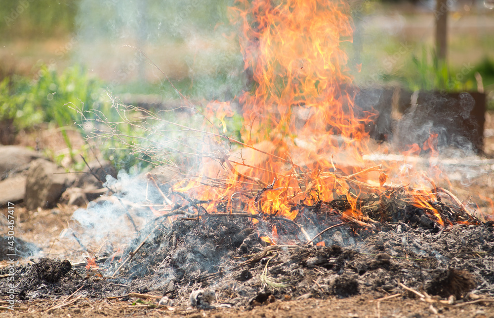 yard waste clippings pile cleanup up by burning in a small controlled burn pile washington state yakima indian reservation yard waste clippings pile cleanup up by burning in a small controlled burn pile washington state yakima indian reservation