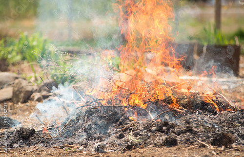 yard waste clippings pile cleanup up by burning in a small controlled burn pile washington state yakima indian reservation photo