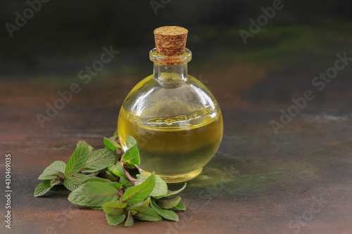 Fresh mint and peppermint oil in bottle on wooden background.