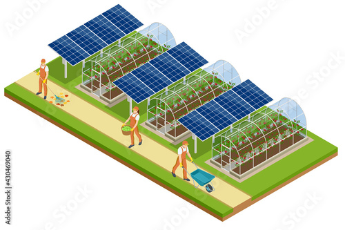 Isometric Greenhouse isolated on white. Growing seedlings in glasshouse. Plants crop in greenhouse