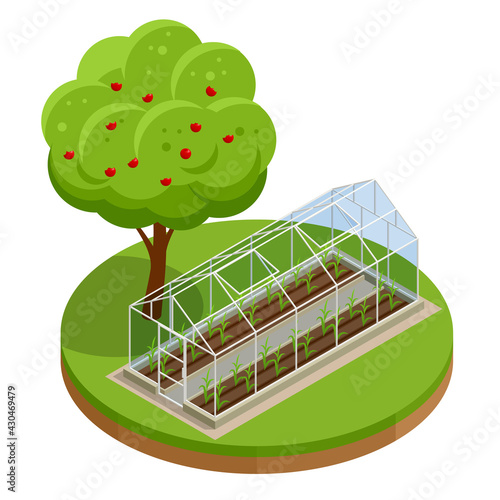 Isometric Greenhouse isolated on white. Growing seedlings in glasshouse. Plants crop in greenhouse