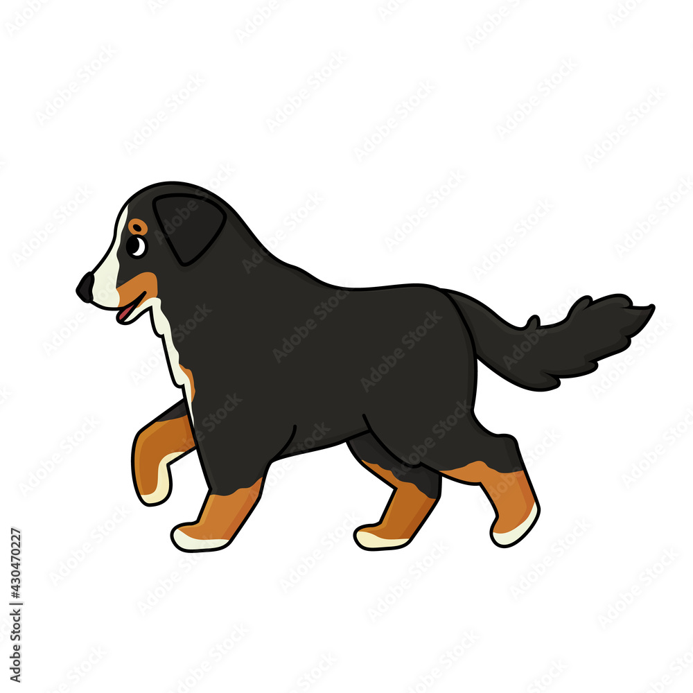 Vector adorable cute outline cartoon hand drawn Bernese Mountain Dog is going to somewhere. Animal illustration  isolated on white background
