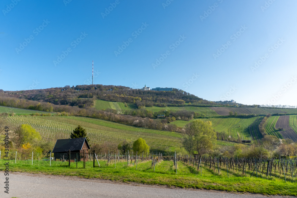 Kahlenberg in Vienna, Austria. View to the vineyards and radio station.