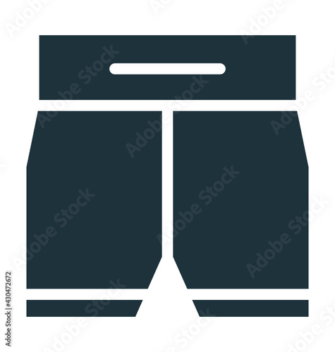 Bermuda Short Vector Icon