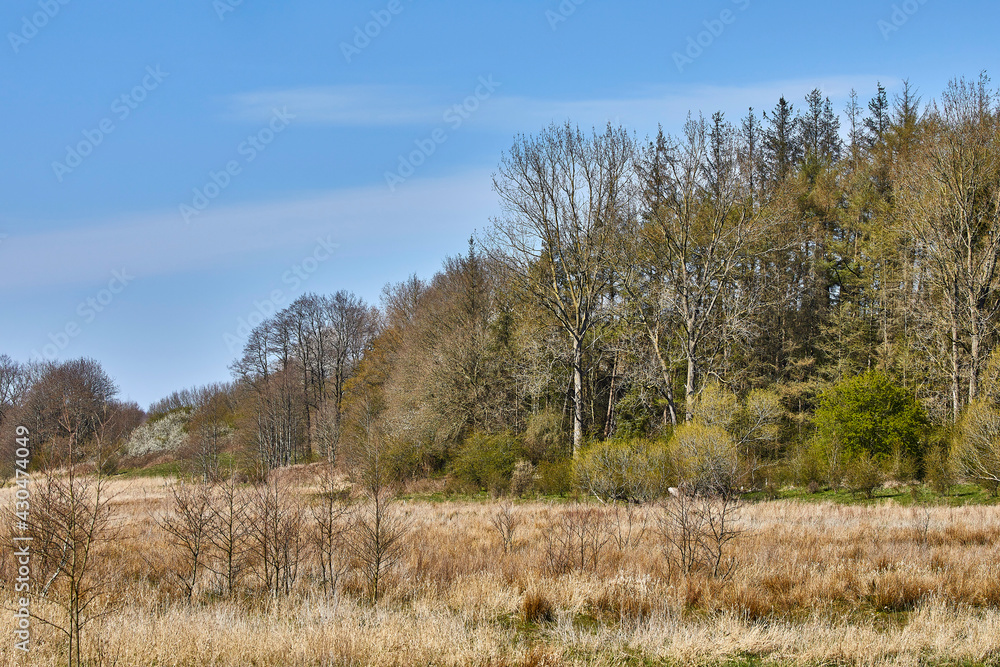 Obraz premium flusstal