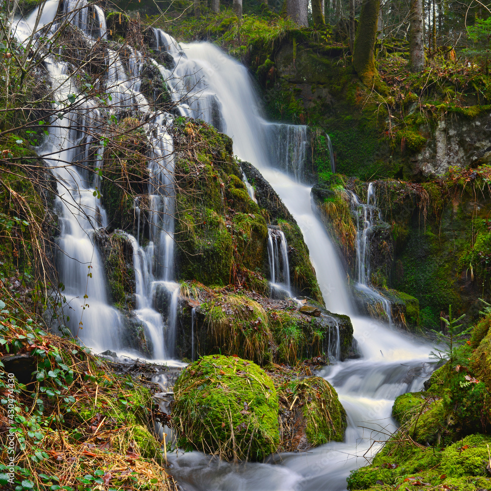 Fototapeta premium Carré petite cascade du Bouchot entre Sapois (88120) et Gerbamont (88120) communes de la Bresse (88250), département des Vosges en région Grand Est, France