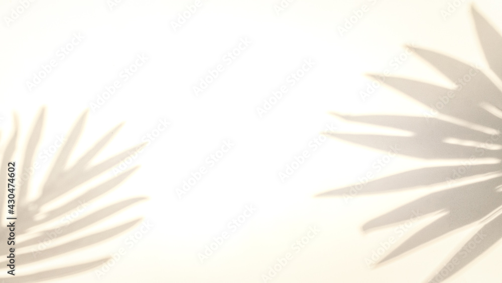 Leaf shadow summer background. Plant leaf shadows on white wall in abstract tropical sunlight texture, for overlay on product presentation, backdrop and mockup, sun light seasonal concept. Leaf shadow summer background. Plant leaf shadows on white wall in abstract tropical sunlight texture, for overlay on product presentation, backdrop and mockup, sun light seasonal concept.