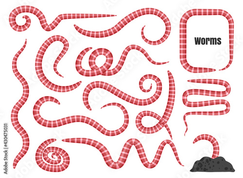 Earth Worm Set, Earthworms, Pink Segmented Soil Worms, Annelida