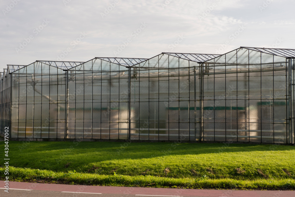 View on a greenhouse front in a street in Het westland, The Netherlands, View on a greenhouse front in a street in Het westland, The Netherlands,