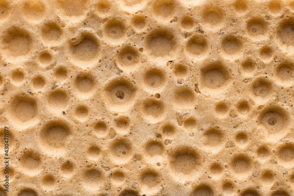 Textured surface of the dietetic crispbread looks like the craters of the moon. Full frame macro shot.