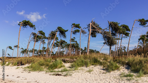 Darßer Weststrand 12