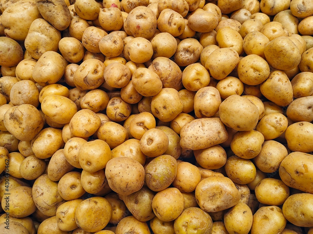 Large pile of potatoes on market counter. Food background. Potatoes harvest concept. Large pile of potatoes on market counter. Food background. Potatoes harvest concept.