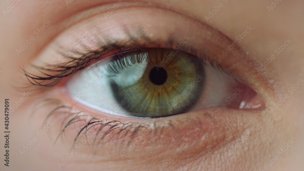Macro video of female right eye.Extremely close up view of motion woman blue eye Macro video of female right eye.Extremely close up view of motion woman blue eye